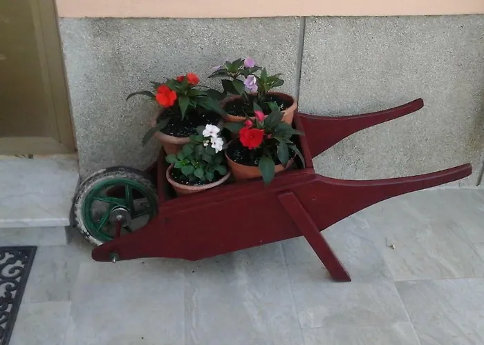 Familija Tariba Konukevi